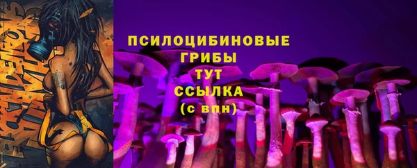 Альфа ПВП Армянск
