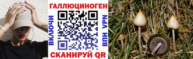 Галлюциногенные грибы MAGIC MUSHROOMS  где купить   Ужур 