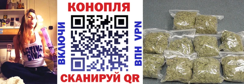 omg tor  Ужур  МАРИХУАНА сатива 